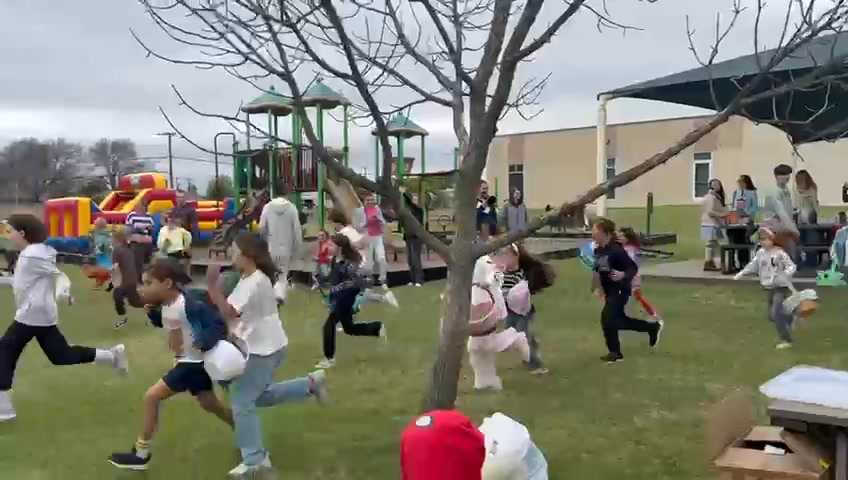 Polish School of Dallas